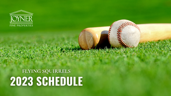 Minor League Baseball